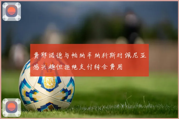 费耶诺德与帕纳辛纳科斯对佩尼亚感兴趣但拒绝支付转会费用